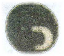 Ukuran 0.5 – 1 mm